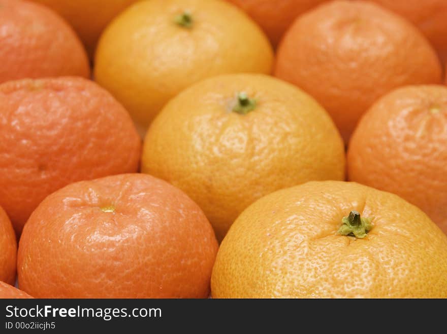 Citrus Fruit