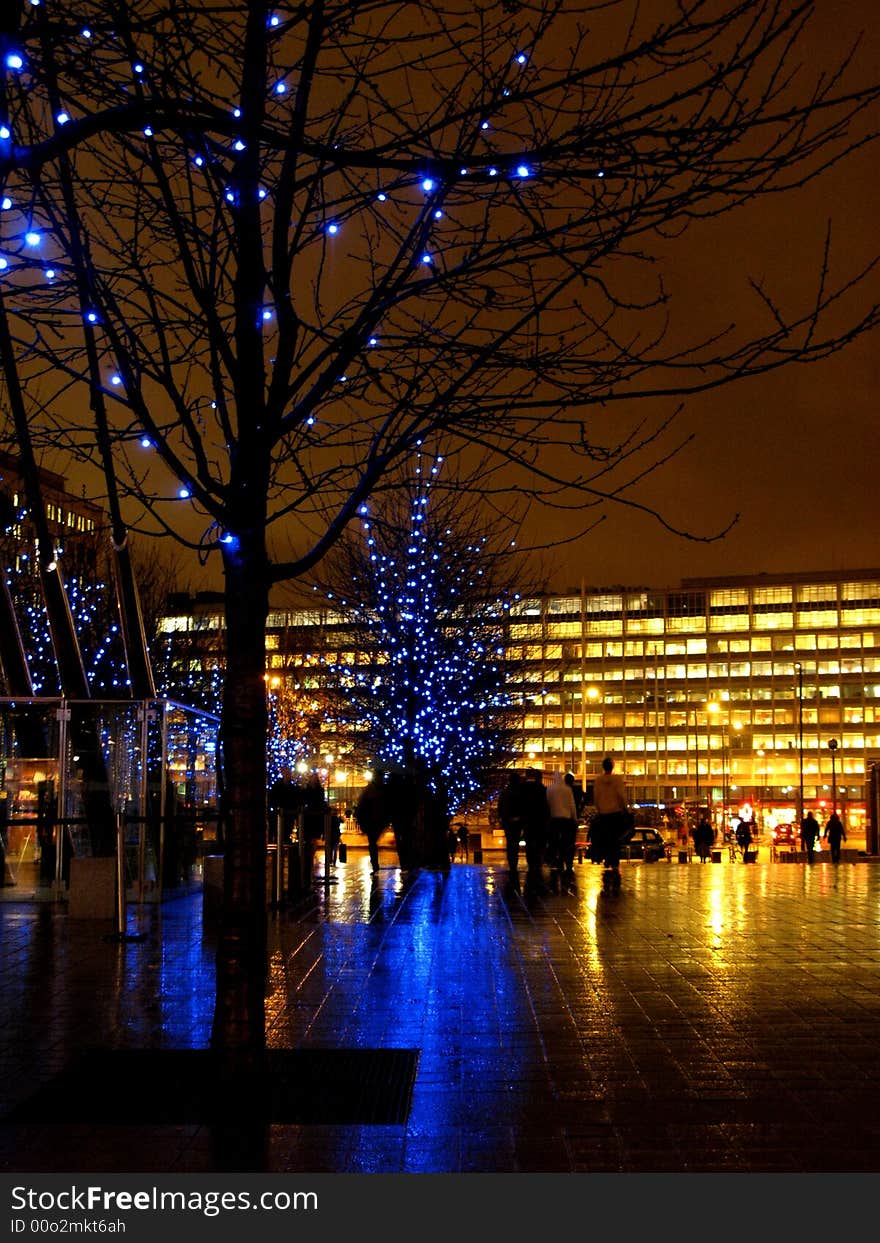 Trees lit up on the south bank of the thames, london. Trees lit up on the south bank of the thames, london