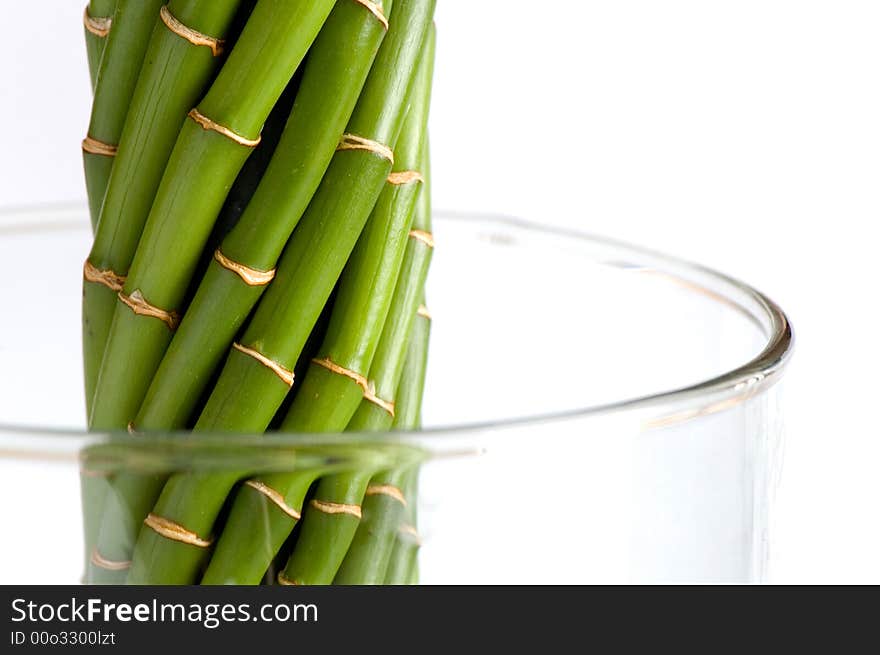 A bamboo stem in a clear glass. A bamboo stem in a clear glass