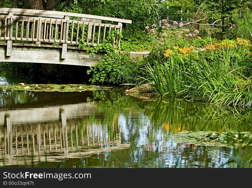 Pond Reflection