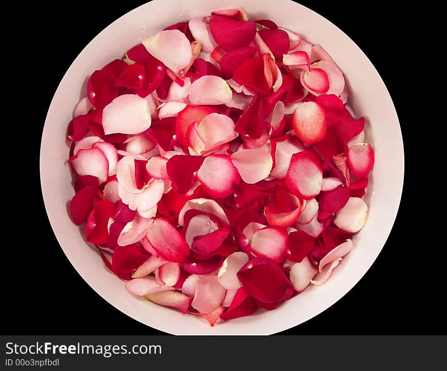 Beautiful macro close-up view of colorful rose petals pattern on a big white bowl. Beautiful macro close-up view of colorful rose petals pattern on a big white bowl