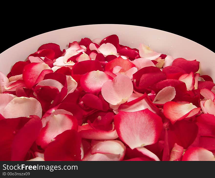 Beautiful Red Roses Petal On A Big Bowl