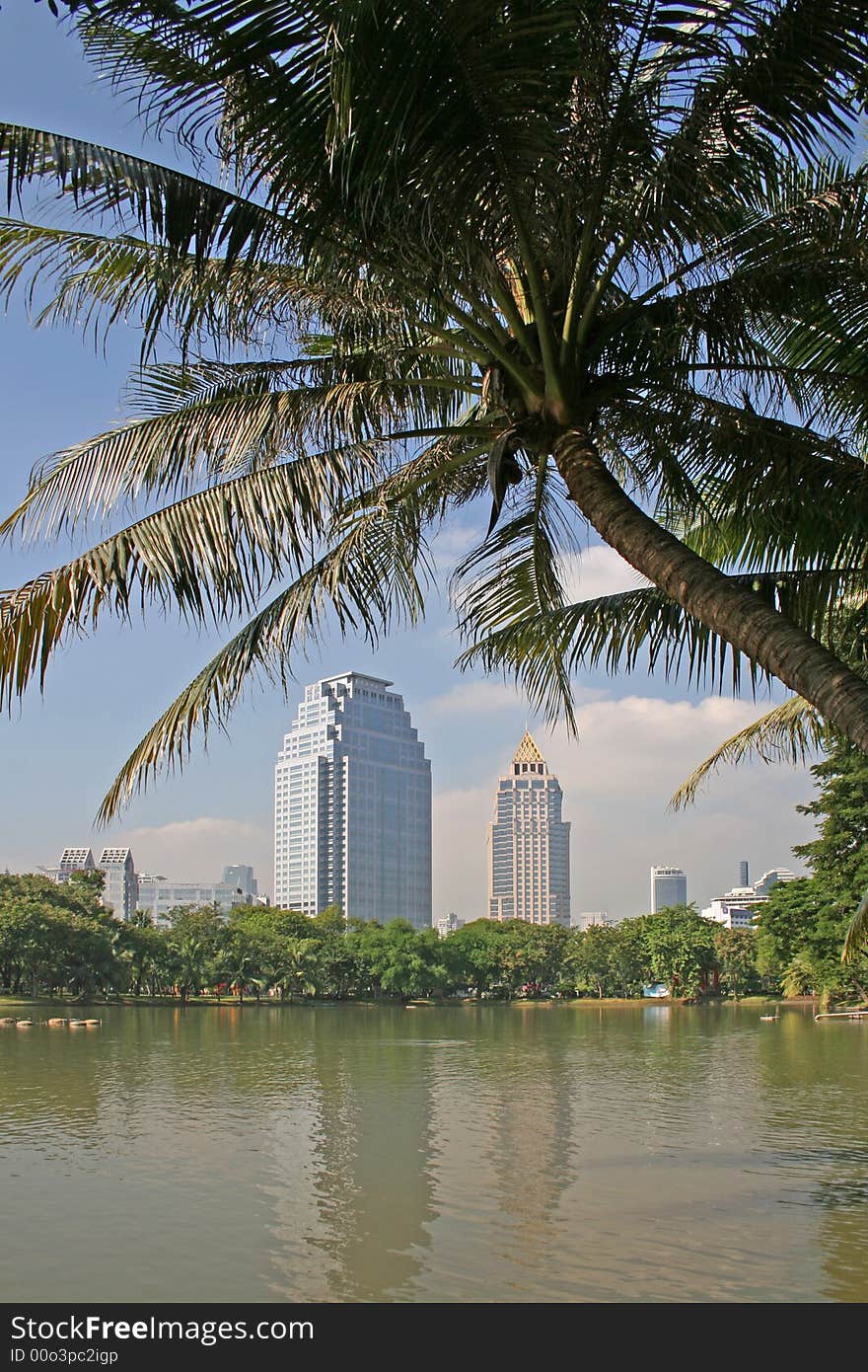 Palm trees and lake in a lush tropical park in the centre of Bangkok, Thailand. Modern skyscrapers in the background. Palm trees and lake in a lush tropical park in the centre of Bangkok, Thailand. Modern skyscrapers in the background