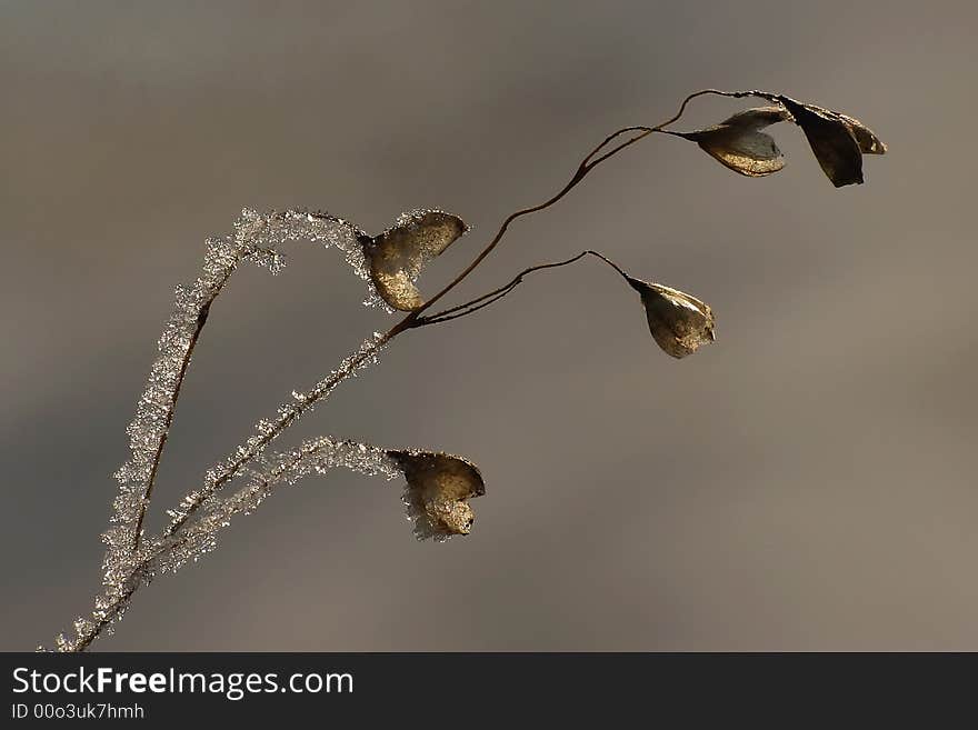 Signs of winter