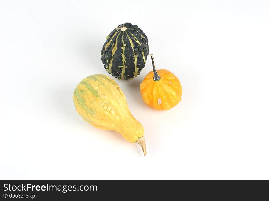 Mini pumpkins