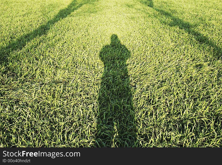 The shadow on the wheat field. The shadow on the wheat field