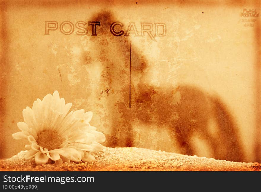 Vintage Grunge Style Postcard Background With Flower and Horse. Vintage Grunge Style Postcard Background With Flower and Horse