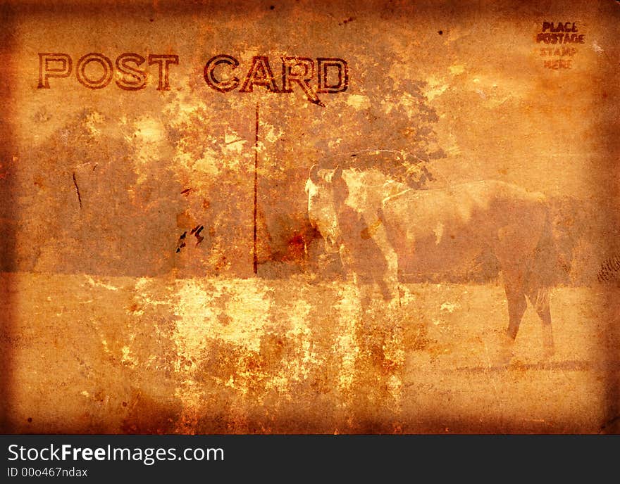 Postcard With Horse