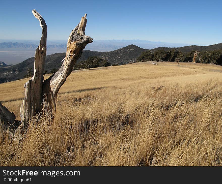 Looking at the distant High Sierra from Nevada. Looking at the distant High Sierra from Nevada.