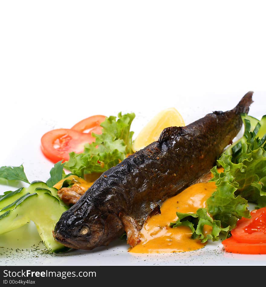 Gourmet grilled fish on white background. Gourmet grilled fish on white background