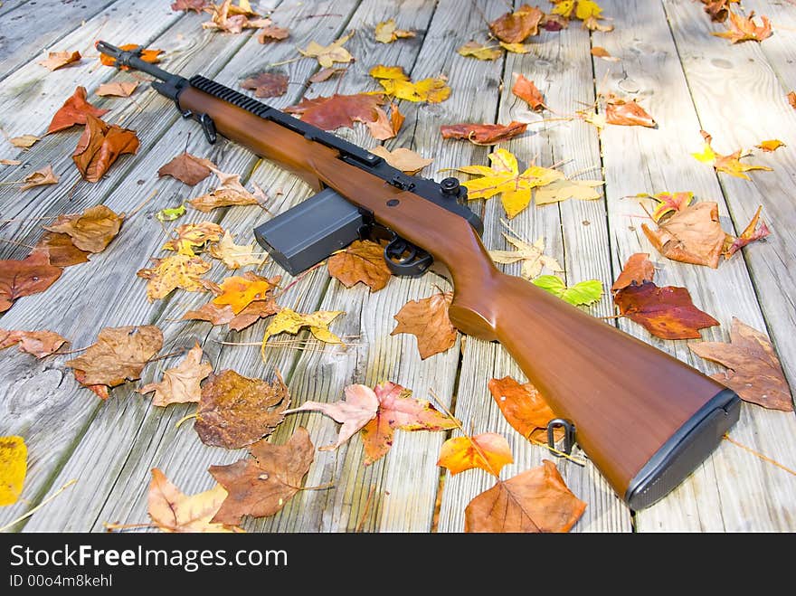 Picture Of A Rifle Surrounded By Leaves