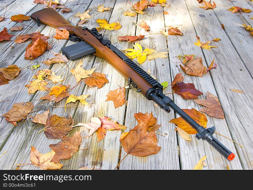 Picture of a rifle surrounded by leaves. Focus is concentrated in the fromt of the gun right under the front sling mount. Picture of a rifle surrounded by leaves. Focus is concentrated in the fromt of the gun right under the front sling mount.