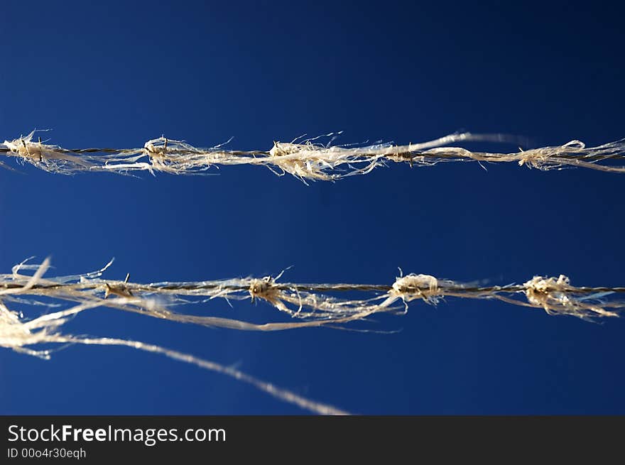 Barbed wire on blue sky background, with plastic caught on