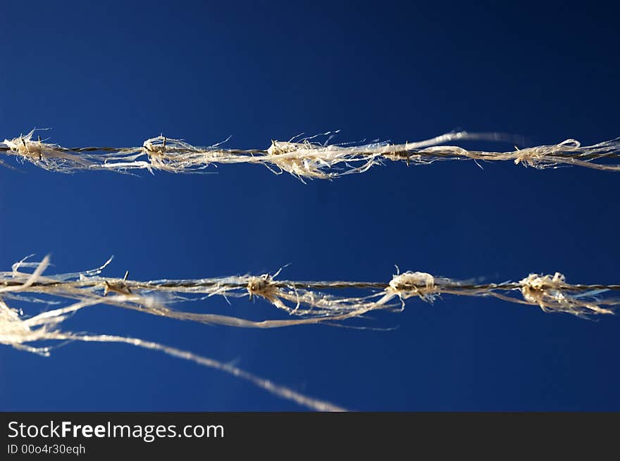 Barbed wire