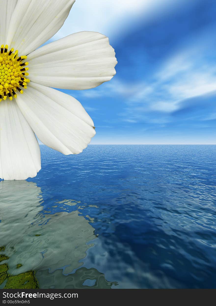 Beautiful flower with reflection on water - digital artwork. Beautiful flower with reflection on water - digital artwork.