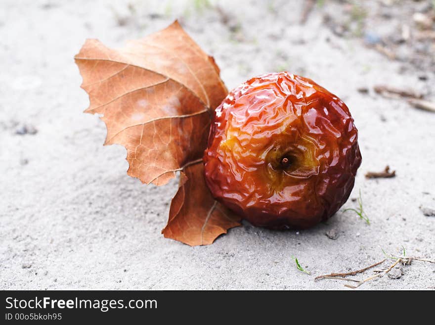 Close up shot of a wrinkled red apple. Close up shot of a wrinkled red apple