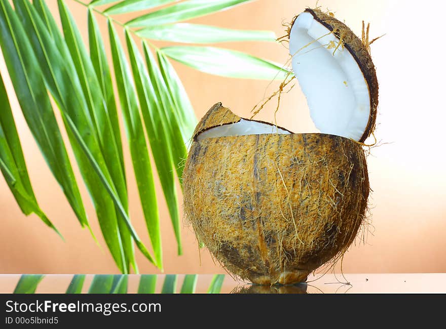 View of nice hairy opened coconut on red back