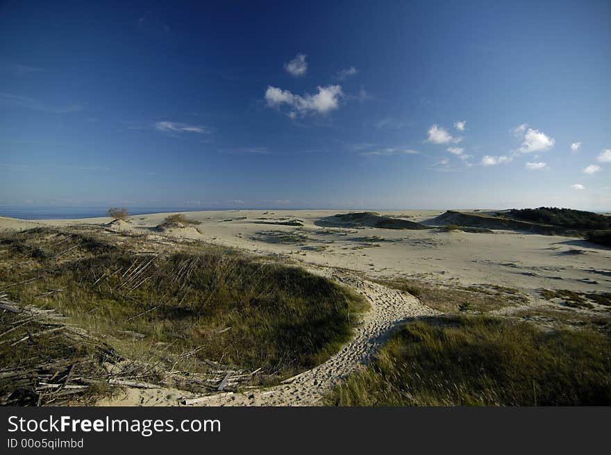 The sand dunes on Kurshskaya spit near Kaliningrad. Russia.