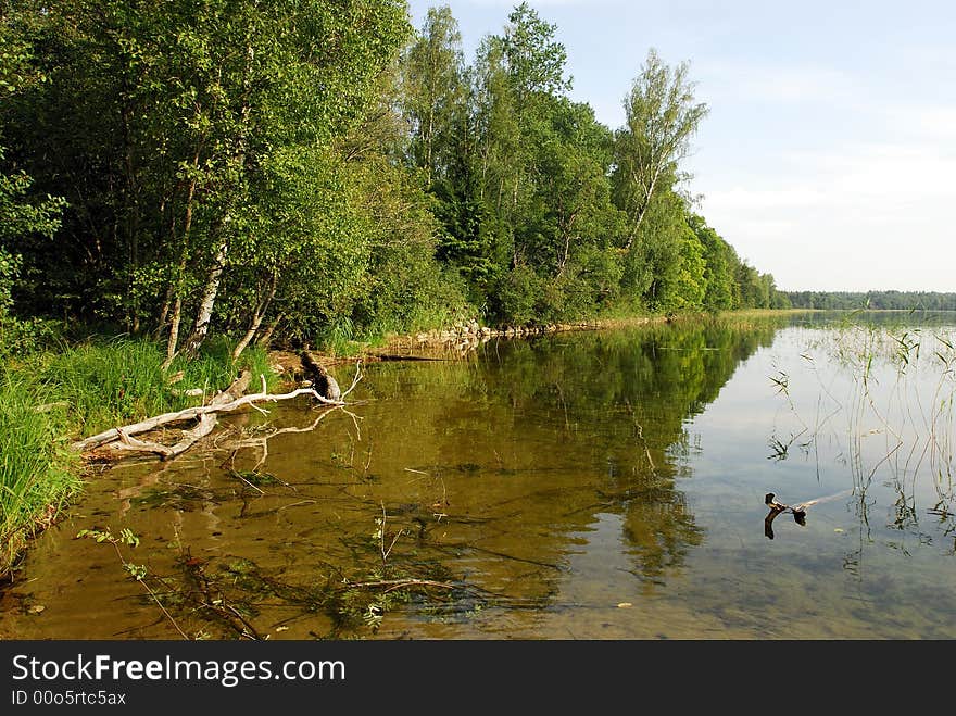 Lake brosno. Tver region. Summer