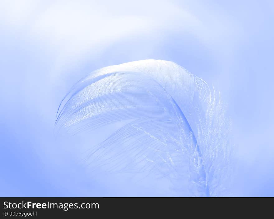 Feather background