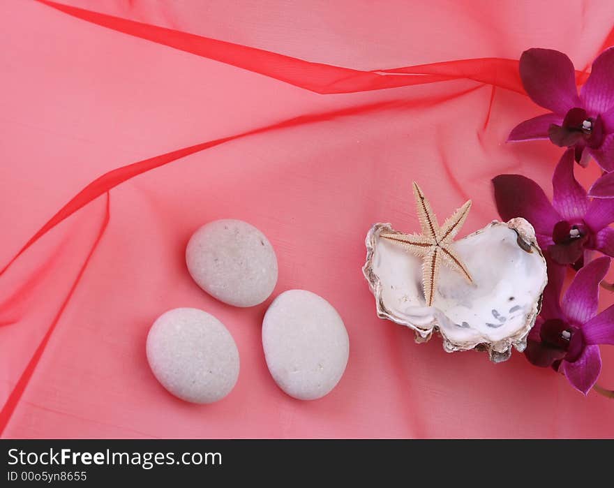 Shells with orchid on red background. Shells with orchid on red background.