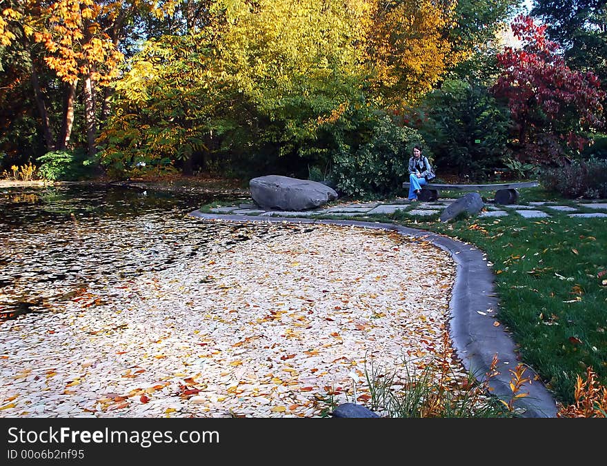 Waiting for winter to come in front of a pond in a park