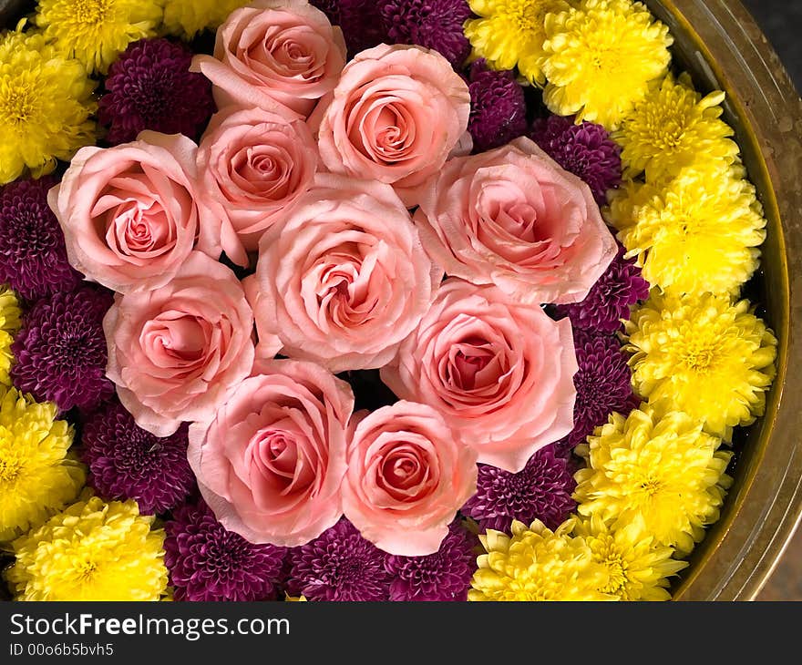 Roses and Chrysanthemums