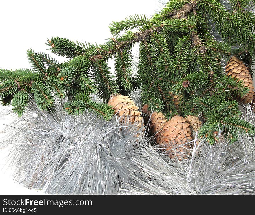 Branch Of A Christmas Tree Of With A Tinsel And St