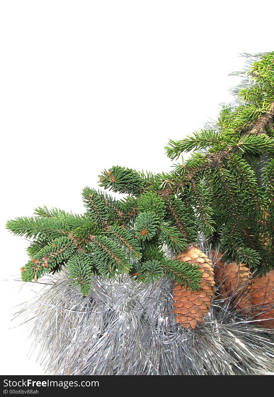 Branch of New Year's fur-trees with strobile. A christmas fur-tree, a celebratory tree, and a silvery tinsel. Branch of New Year's fur-trees with strobile. A christmas fur-tree, a celebratory tree, and a silvery tinsel