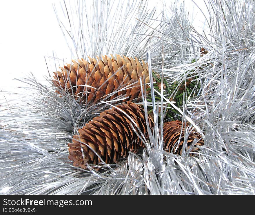 Strobile And A Silvery Tinsel With Needles