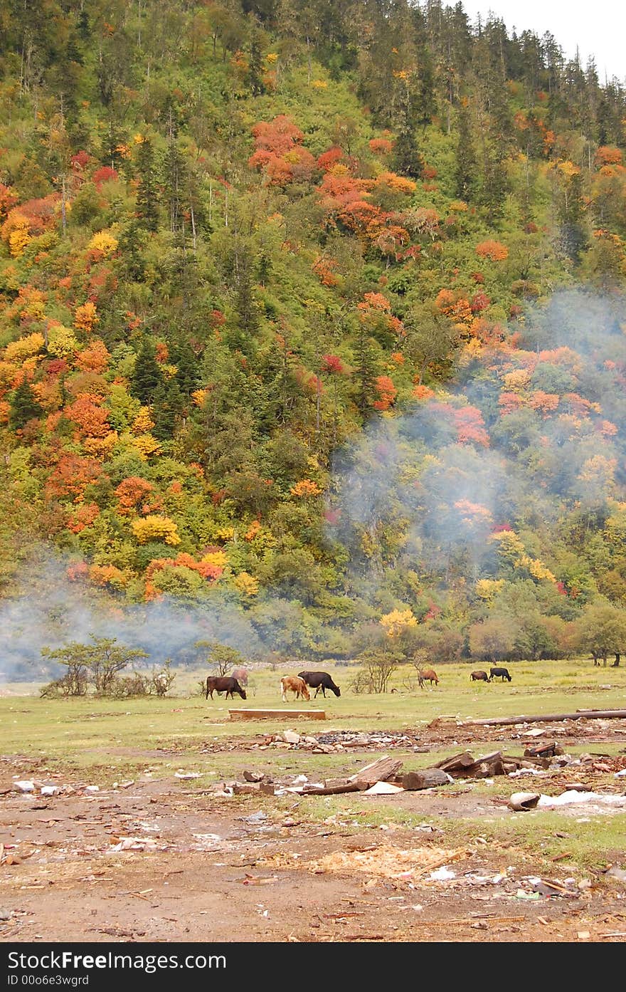 Autumn In The Valley