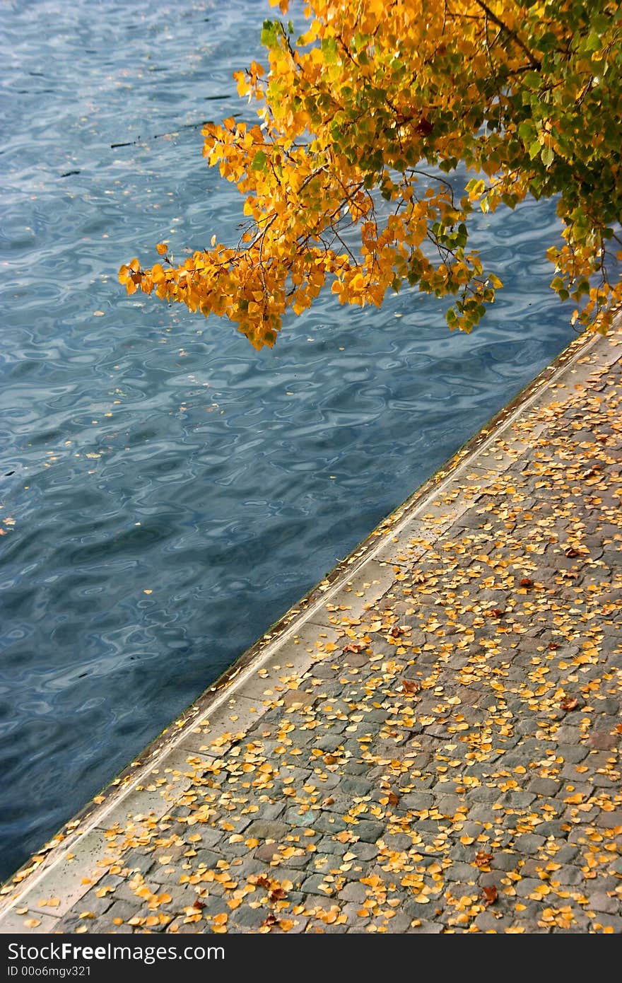 Autumn, yellow leaves and river