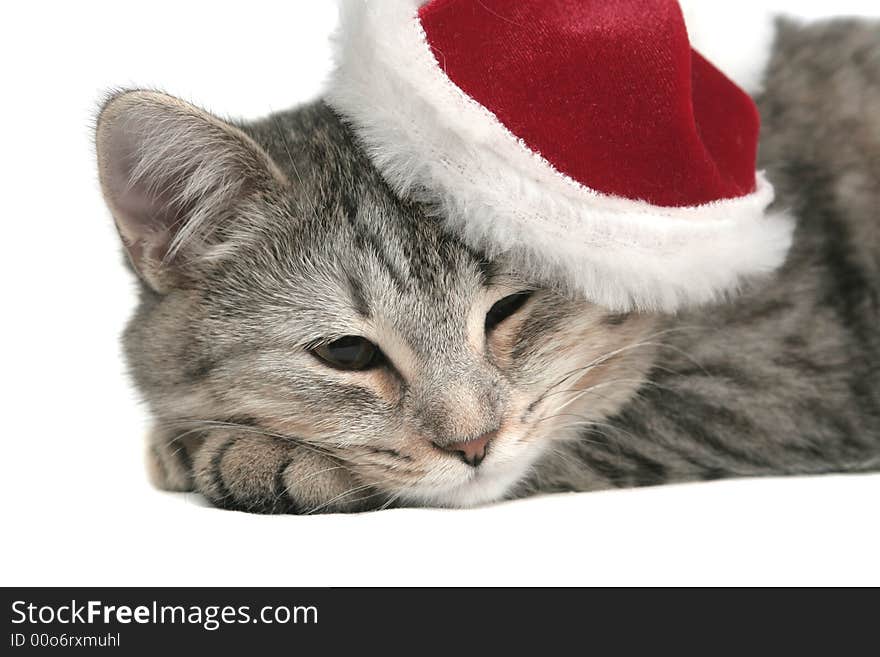 The grey cat sleeps in a New Year's cap