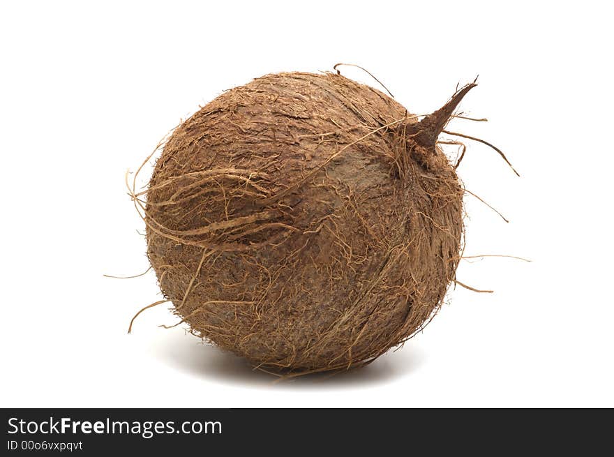 One coconut on white background