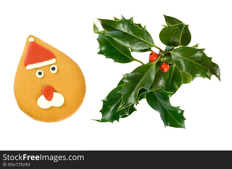 Ilex,holly,christmas decoration