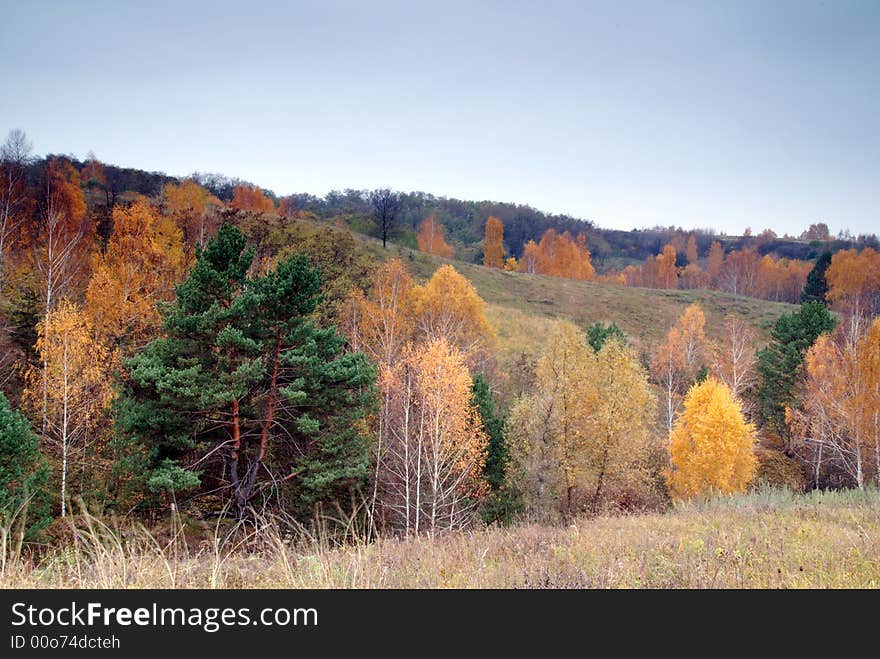 Landscape in Kievskaya oblast, Ukraine. Landscape in Kievskaya oblast, Ukraine