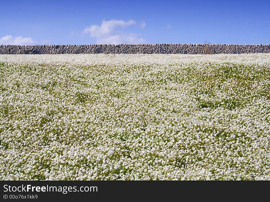 Sicilian Landscape