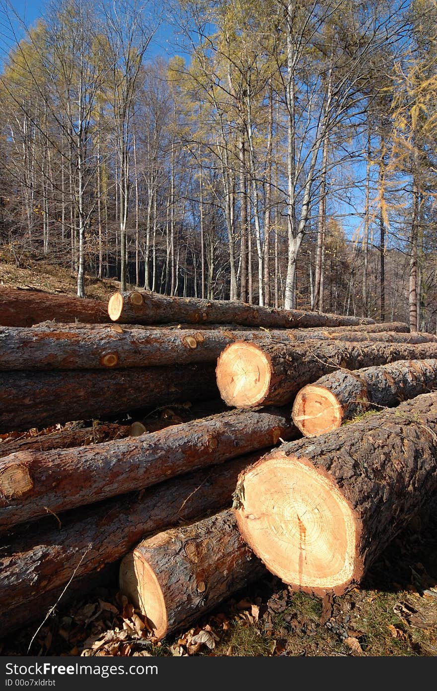 Stack of wood