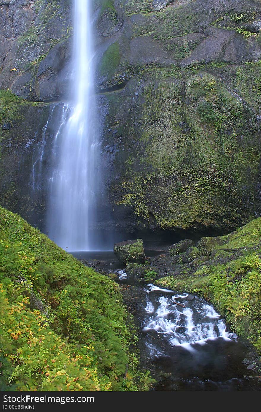 A different view of Northern Oregon's famous Multnomah Falls. This view is of the upper falls. A different view of Northern Oregon's famous Multnomah Falls. This view is of the upper falls.