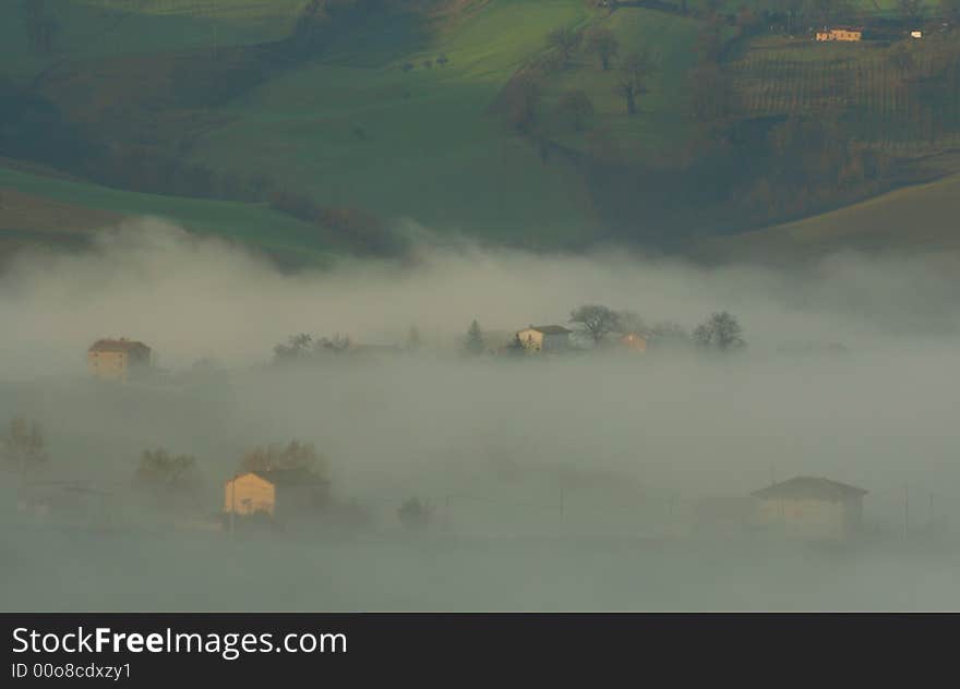 Misty Morning