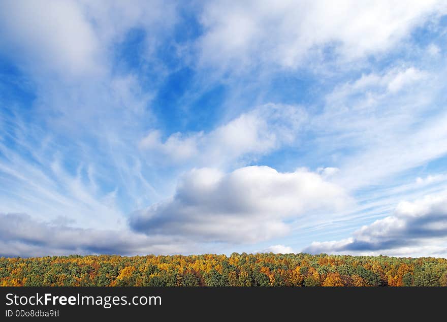 Bright autumn landscape. Coloured forest under high picturesque sky. Ninety percents of shot are busy at clouds. Bright autumn landscape. Coloured forest under high picturesque sky. Ninety percents of shot are busy at clouds.