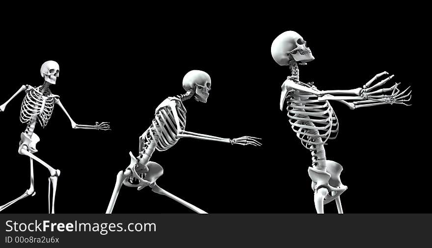 An x ray image of a group of skeletons. A suitable medical or Halloween based image. An x ray image of a group of skeletons. A suitable medical or Halloween based image.