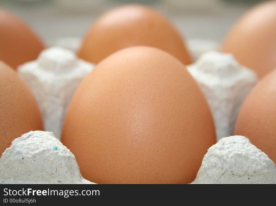 Organic eggs in the box close up