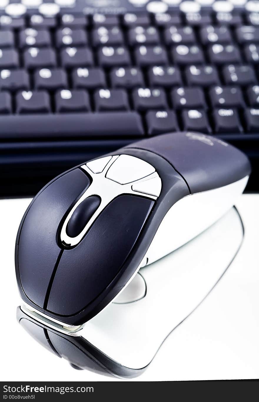 Computer mouse.