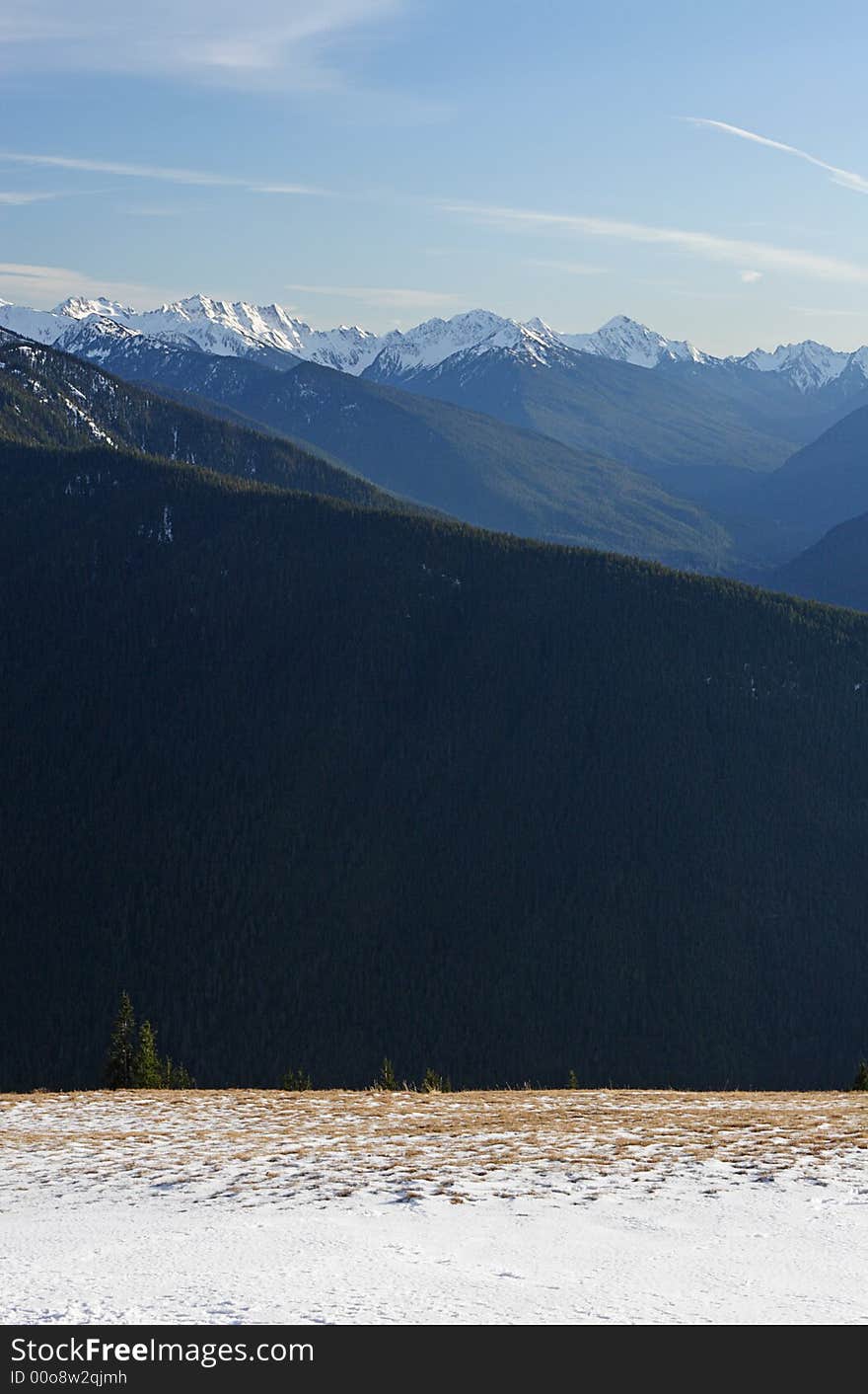 Hurricane Ridge