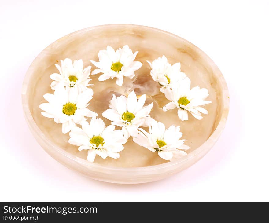 Daisies  in a bowl of water