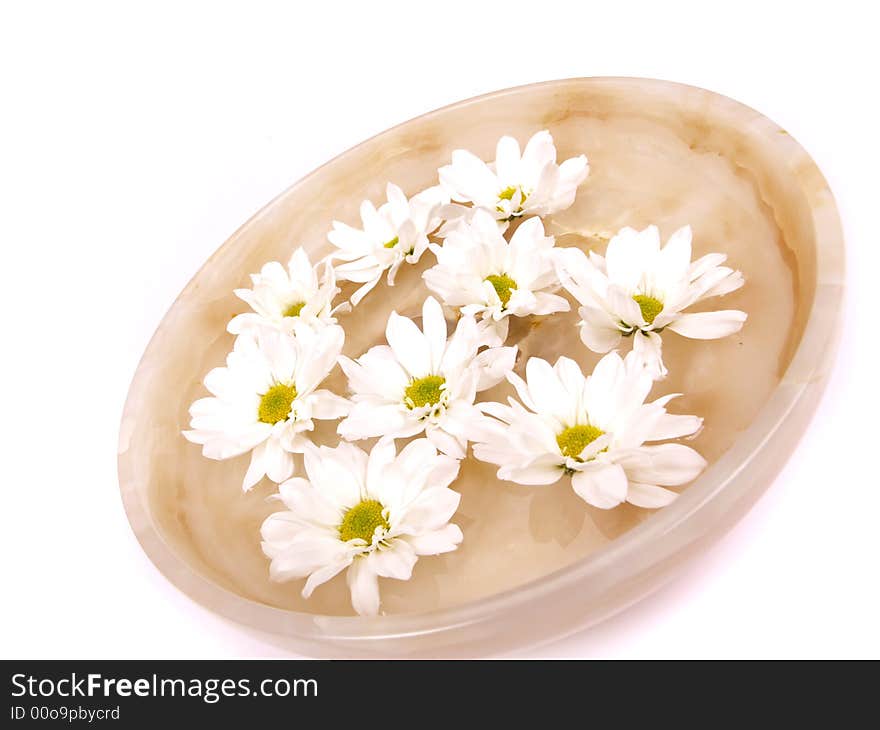 Daisies  in a bowl of water