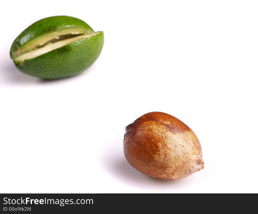 Avocado isolated on white background