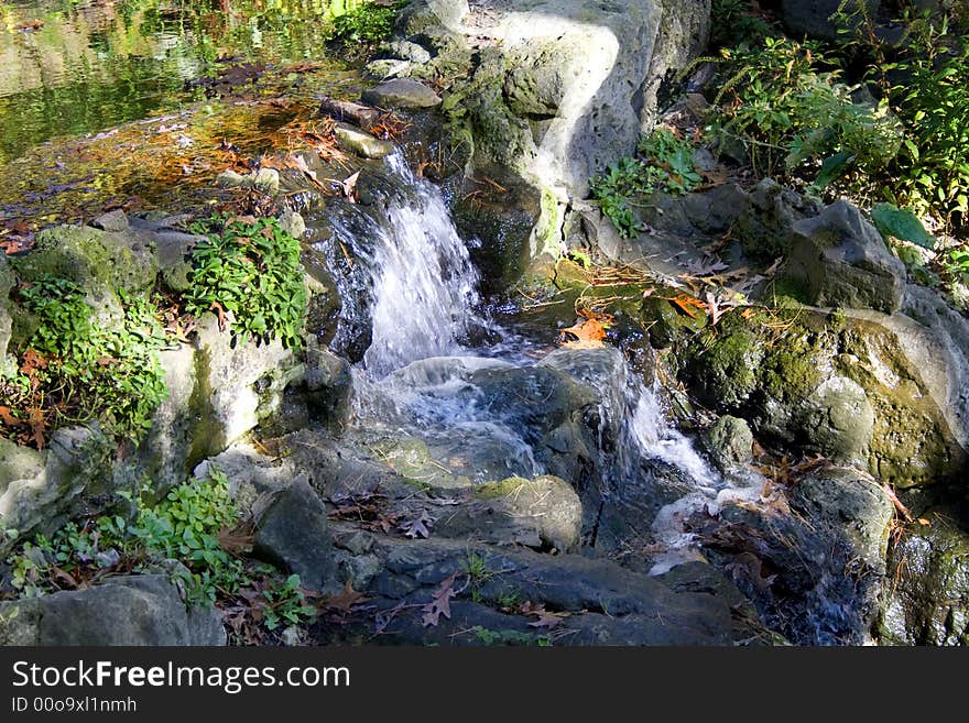 Cascade with multicolored plants around