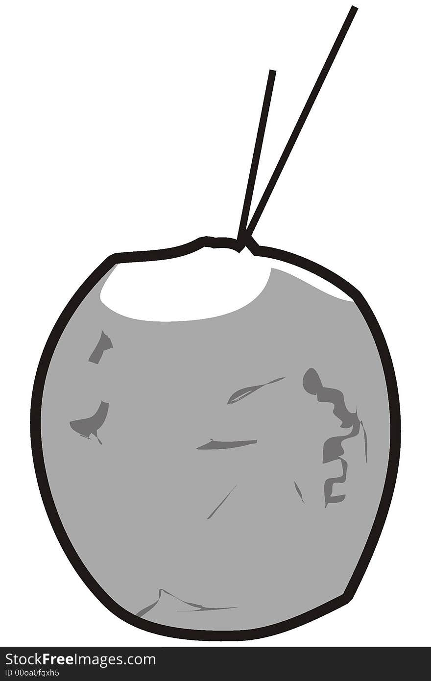 Art illustration in gray scale: a coconut